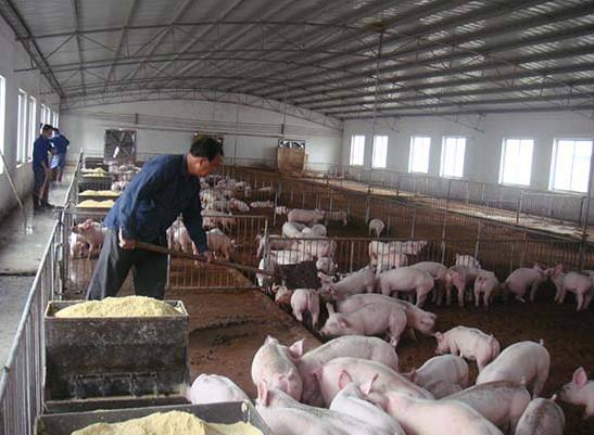 什么是養(yǎng)殖廢水？養(yǎng)殖廢水處理工藝